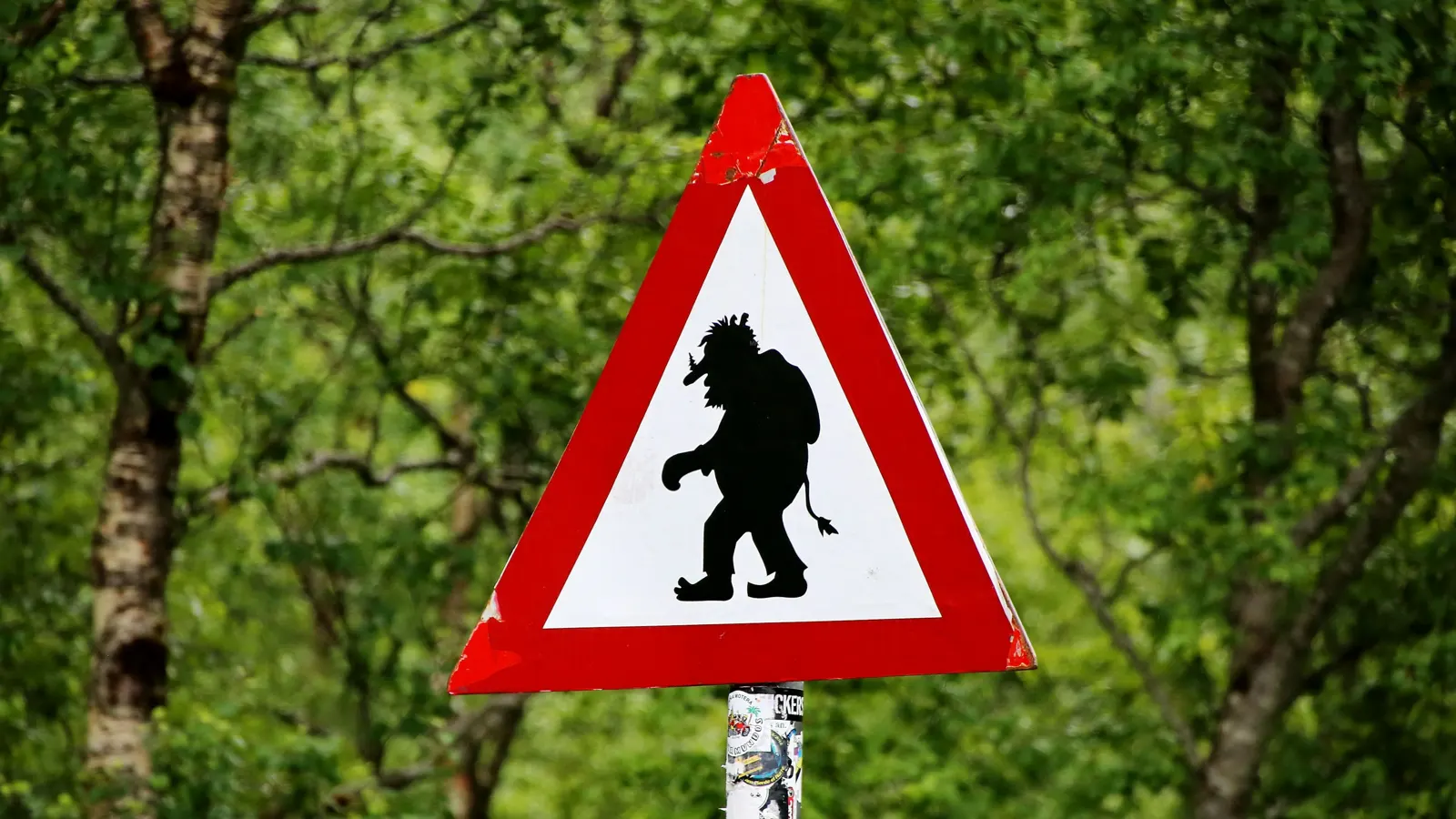 OSINT in Action: How Journalists Unmasked an Anonymous Internet Troll