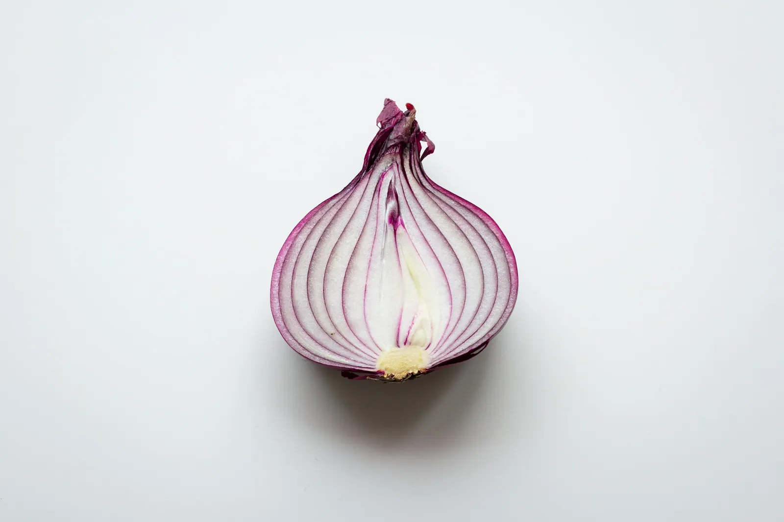 Tor's Counter Galois Onion (CGO) Upgrade: How 2025 Cryptography Crushes a 2002 Standard